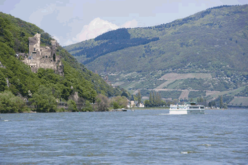 Motonave in navigazione sul fiume Reno